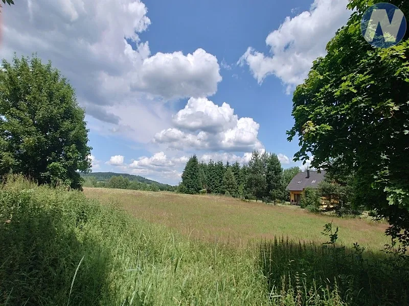 Fotka 9 z 12